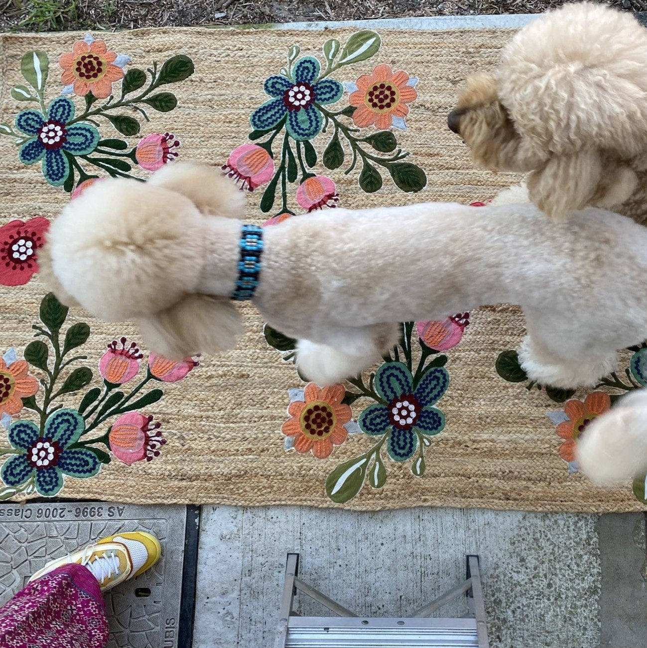 Hand Embroidered Jute Rug - Pink Multi