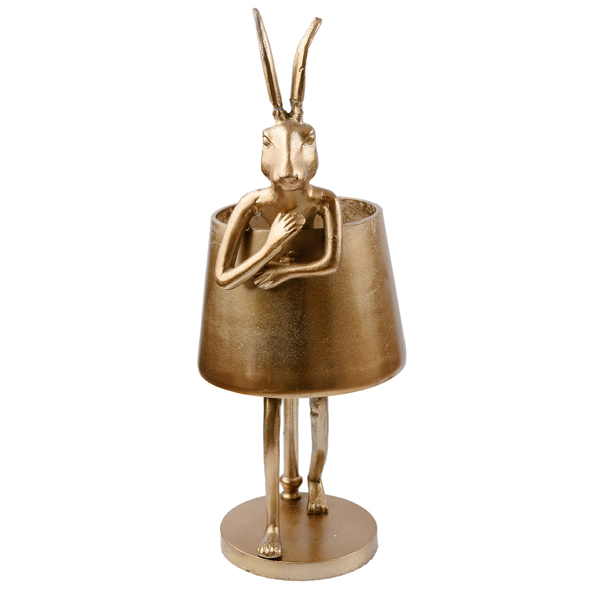 Hiding shop hare lamp